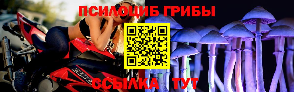 Галлюциногенные грибы Cubensis  Вход с VPN  Великий Новгород 